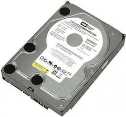 DISQUE DUR WESTERN DIGITAL Caviar 500Go 3.5IN - SATA-600