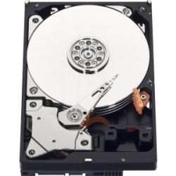 DISQUE DUR WESTERN DIGITAL Blue 320 Go 3.5IN - SATA-600